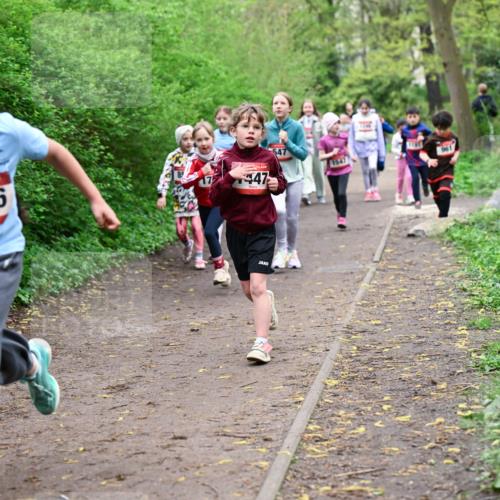 19.04.2026 - Hammer Lauf Dr. Thomas Lammeyer http://msf.ph/oto/9528277 19.04.2026 09:27:24 Laufen 148, 1496, 447, 1547, 961 meine-sportfotos.de