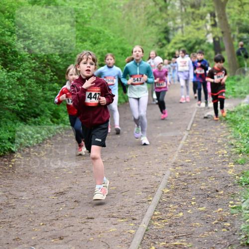 19.04.2026 - Hammer Lauf Dr. Thomas Lammeyer http://msf.ph/oto/9528282 19.04.2026 09:27:25 Laufen 447, 1508, 547 meine-sportfotos.de