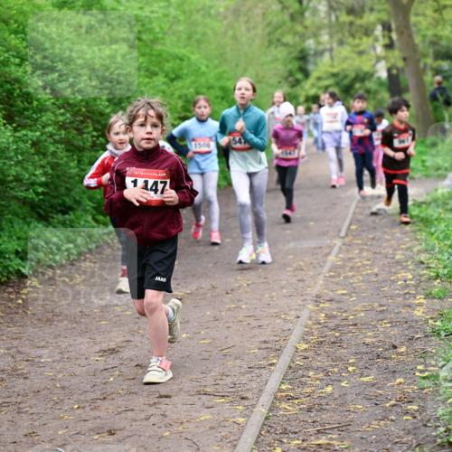 19.04.2026 - Hammer Lauf Dr. Thomas Lammeyer http://msf.ph/oto/9528283 19.04.2026 09:27:25 Laufen 1147, 1506 meine-sportfotos.de