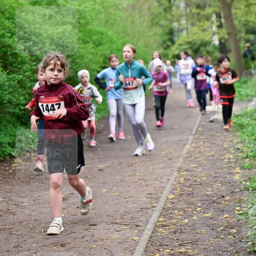 19.04.2026 - Hammer Lauf Dr. Thomas Lammeyer http://msf.ph/oto/9528286 19.04.2026 09:27:25 Laufen 1447 meine-sportfotos.de