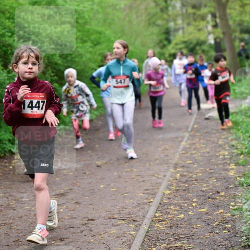 19.04.2026 - Hammer Lauf Dr. Thomas Lammeyer http://msf.ph/oto/9528289 19.04.2026 09:27:26 Laufen 1447, 547 meine-sportfotos.de
