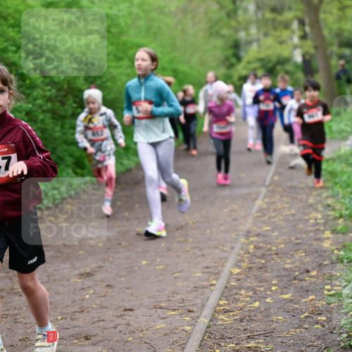 19.04.2026 - Hammer Lauf Dr. Thomas Lammeyer http://msf.ph/oto/9528292 19.04.2026 09:27:26 Laufen 1447 meine-sportfotos.de