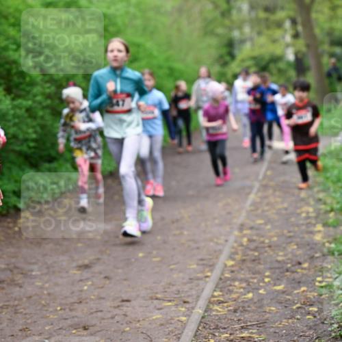 19.04.2026 - Hammer Lauf Dr. Thomas Lammeyer http://msf.ph/oto/9528295 19.04.2026 09:27:26 Laufen 147 meine-sportfotos.de