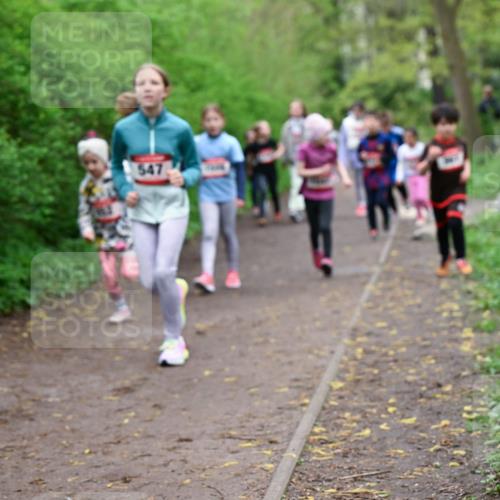 19.04.2026 - Hammer Lauf Dr. Thomas Lammeyer http://msf.ph/oto/9528297 19.04.2026 09:27:26 Laufen 547 meine-sportfotos.de
