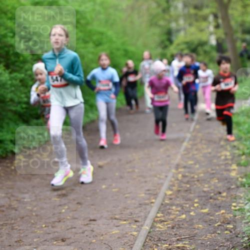 19.04.2026 - Hammer Lauf Dr. Thomas Lammeyer http://msf.ph/oto/9528298 19.04.2026 09:27:26 Laufen 547 meine-sportfotos.de