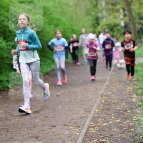 19.04.2026 - Hammer Lauf Dr. Thomas Lammeyer http://msf.ph/oto/9528301 19.04.2026 09:27:26 Laufen  meine-sportfotos.de