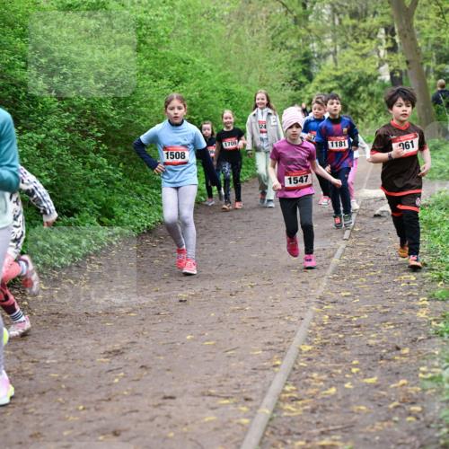 19.04.2026 - Hammer Lauf Dr. Thomas Lammeyer http://msf.ph/oto/9528303 19.04.2026 09:27:27 Laufen 1508, 1709, 124, 1181, 1547, 961 meine-sportfotos.de