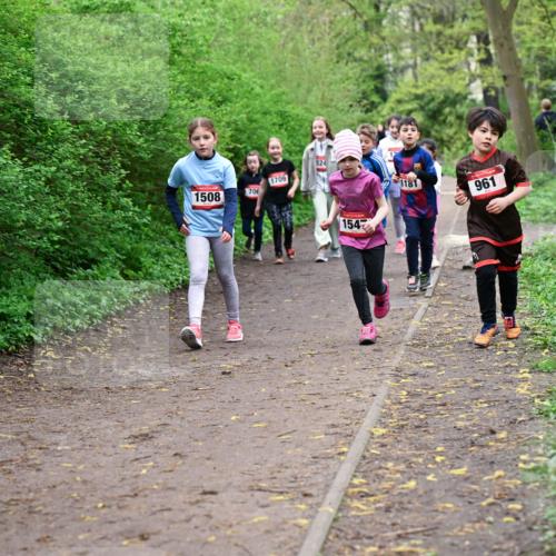 19.04.2026 - Hammer Lauf Dr. Thomas Lammeyer http://msf.ph/oto/9528306 19.04.2026 09:27:27 Laufen 824, 1709, 1508, 706, 154, 1181, 961 meine-sportfotos.de