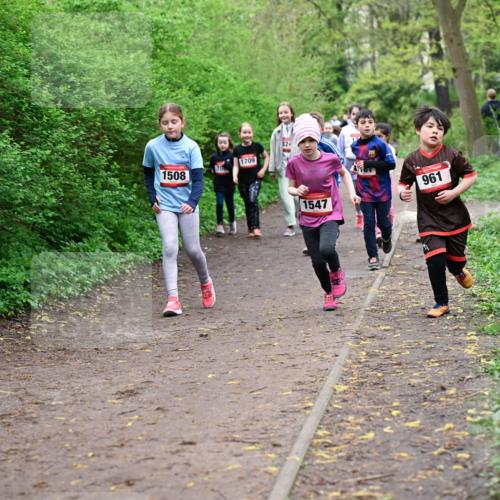 19.04.2026 - Hammer Lauf Dr. Thomas Lammeyer http://msf.ph/oto/9528307 19.04.2026 09:27:27 Laufen 1508, 1709, 961, 1547 meine-sportfotos.de