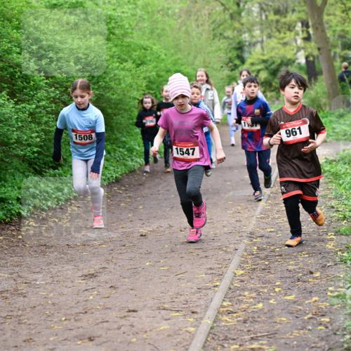 19.04.2026 - Hammer Lauf Dr. Thomas Lammeyer http://msf.ph/oto/9528312 19.04.2026 09:27:28 Laufen 1508, 706, 1547, 961 meine-sportfotos.de