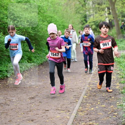 19.04.2026 - Hammer Lauf Dr. Thomas Lammeyer http://msf.ph/oto/9528319 19.04.2026 09:27:28 Laufen 1508, 1547, 1181, 961 meine-sportfotos.de