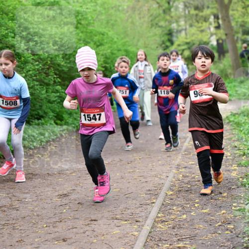 19.04.2026 - Hammer Lauf Dr. Thomas Lammeyer http://msf.ph/oto/9528323 19.04.2026 09:27:29 Laufen 1508, 1547, 751, 118 meine-sportfotos.de