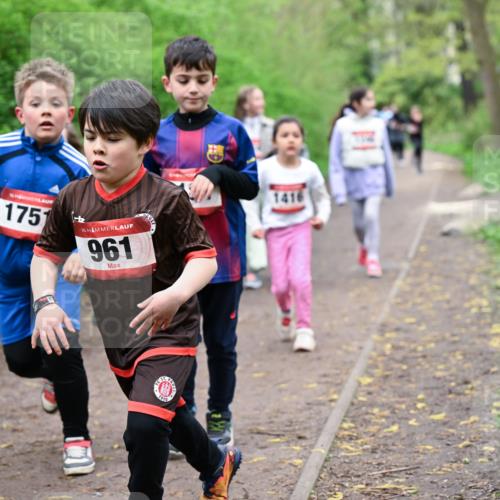 19.04.2026 - Hammer Lauf Dr. Thomas Lammeyer http://msf.ph/oto/9528342 19.04.2026 09:27:31 Laufen 175, 961, 1416, 1910 meine-sportfotos.de