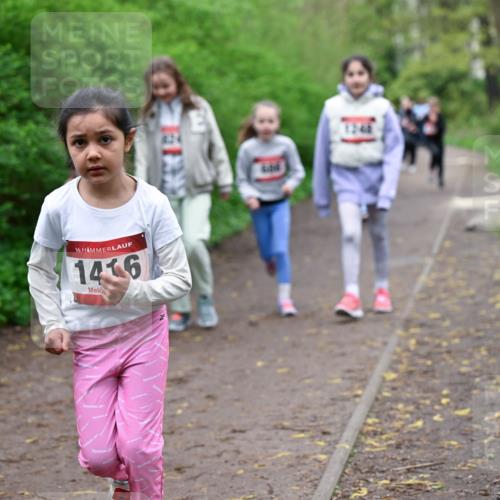 19.04.2026 - Hammer Lauf Dr. Thomas Lammeyer http://msf.ph/oto/9528360 19.04.2026 09:27:33 Laufen 1416, 1248 meine-sportfotos.de
