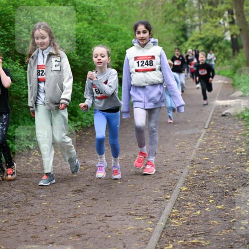 19.04.2026 - Hammer Lauf Dr. Thomas Lammeyer http://msf.ph/oto/9528368 19.04.2026 09:27:34 Laufen 1709, 1248 meine-sportfotos.de