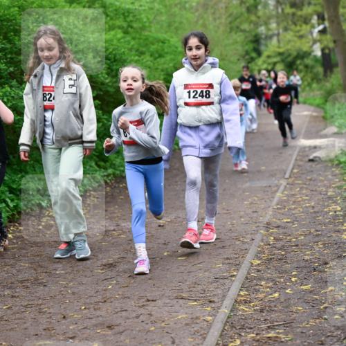 19.04.2026 - Hammer Lauf Dr. Thomas Lammeyer http://msf.ph/oto/9528369 19.04.2026 09:27:34 Laufen 1709, 1248 meine-sportfotos.de