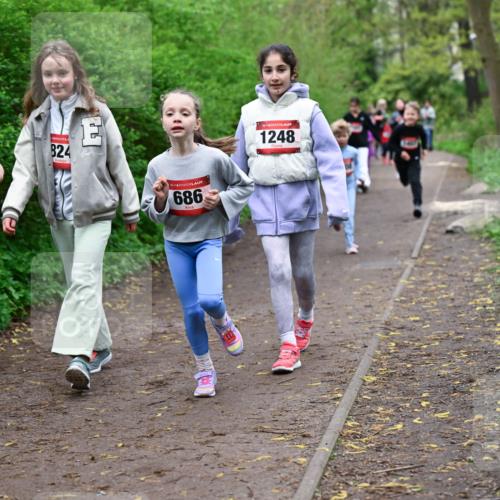 19.04.2026 - Hammer Lauf Dr. Thomas Lammeyer http://msf.ph/oto/9528371 19.04.2026 09:27:34 Laufen 1709, 824, 686, 1248 meine-sportfotos.de