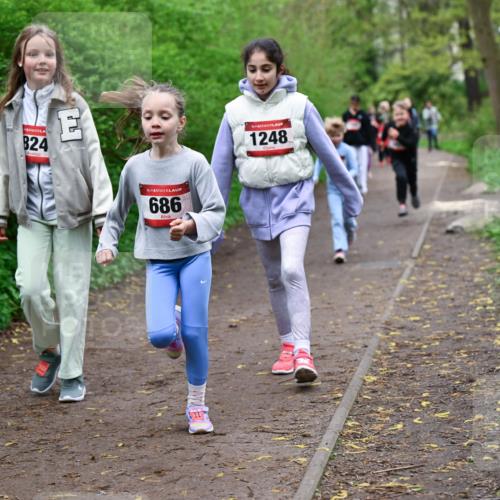 19.04.2026 - Hammer Lauf Dr. Thomas Lammeyer http://msf.ph/oto/9528377 19.04.2026 09:27:34 Laufen 1709, 824, 686, 1248 meine-sportfotos.de