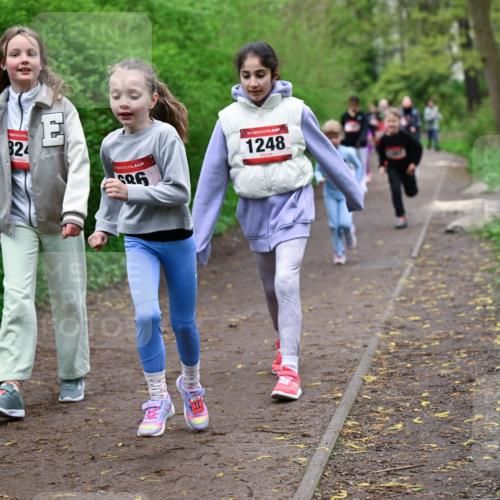 19.04.2026 - Hammer Lauf Dr. Thomas Lammeyer http://msf.ph/oto/9528378 19.04.2026 09:27:34 Laufen 824, 686, 1248 meine-sportfotos.de