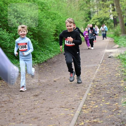 19.04.2026 - Hammer Lauf Dr. Thomas Lammeyer http://msf.ph/oto/9528396 19.04.2026 09:27:37 Laufen 1308, 145 meine-sportfotos.de