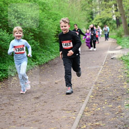 19.04.2026 - Hammer Lauf Dr. Thomas Lammeyer http://msf.ph/oto/9528398 19.04.2026 09:27:37 Laufen 1308, 1457 meine-sportfotos.de
