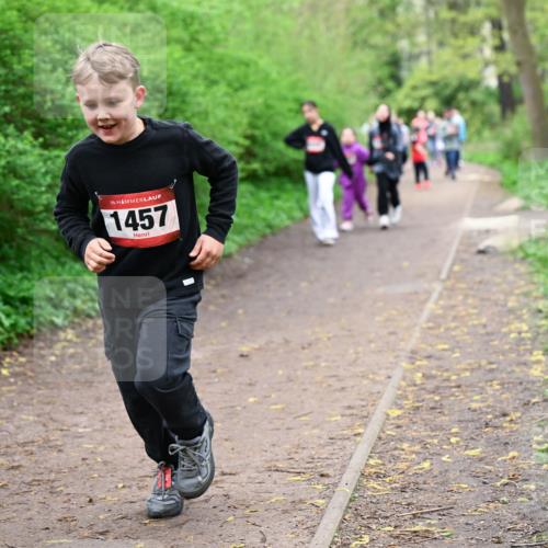 19.04.2026 - Hammer Lauf Dr. Thomas Lammeyer http://msf.ph/oto/9528407 19.04.2026 09:27:38 Laufen 1457 meine-sportfotos.de