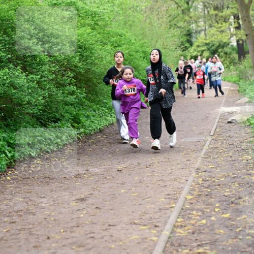 19.04.2026 - Hammer Lauf Dr. Thomas Lammeyer http://msf.ph/oto/9528438 19.04.2026 09:27:41 Laufen 1378 meine-sportfotos.de