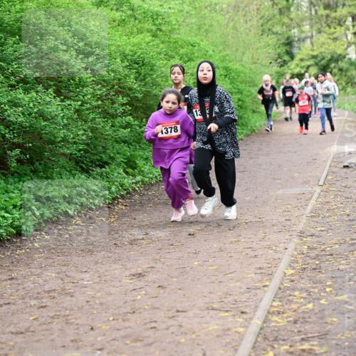 19.04.2026 - Hammer Lauf Dr. Thomas Lammeyer http://msf.ph/oto/9528444 19.04.2026 09:27:41 Laufen 1378 meine-sportfotos.de