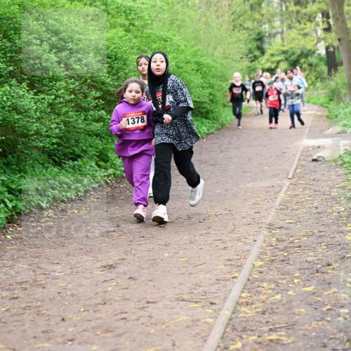 19.04.2026 - Hammer Lauf Dr. Thomas Lammeyer http://msf.ph/oto/9528446 19.04.2026 09:27:41 Laufen 1378 meine-sportfotos.de