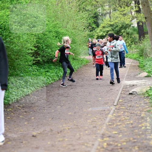 19.04.2026 - Hammer Lauf Dr. Thomas Lammeyer http://msf.ph/oto/9528452 19.04.2026 09:27:44 Laufen 1368, 153, 144, 1467, 132, 195 meine-sportfotos.de
