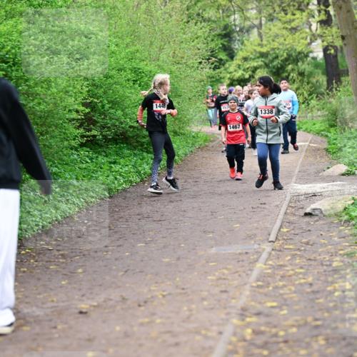 19.04.2026 - Hammer Lauf Dr. Thomas Lammeyer http://msf.ph/oto/9528455 19.04.2026 09:27:44 Laufen 1368, 1446, 153, 1467, 1338 meine-sportfotos.de