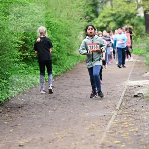 19.04.2026 - Hammer Lauf Dr. Thomas Lammeyer http://msf.ph/oto/9528469 19.04.2026 09:27:45 Laufen 1338 meine-sportfotos.de