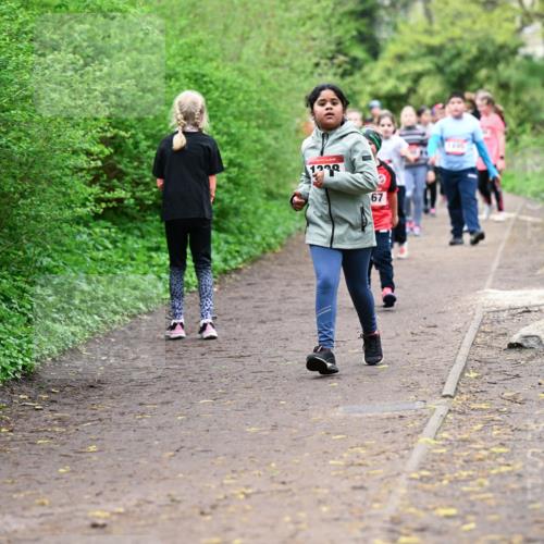 19.04.2026 - Hammer Lauf Dr. Thomas Lammeyer http://msf.ph/oto/9528472 19.04.2026 09:27:46 Laufen  meine-sportfotos.de