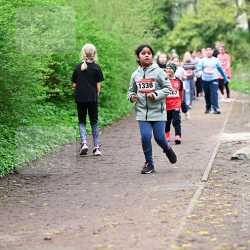 19.04.2026 - Hammer Lauf Dr. Thomas Lammeyer http://msf.ph/oto/9528476 19.04.2026 09:27:46 Laufen 1338 meine-sportfotos.de
