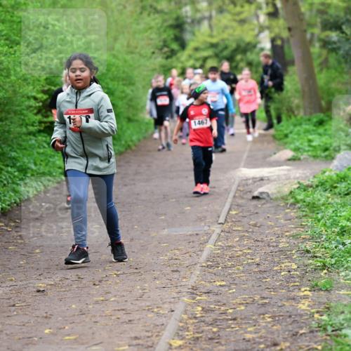 19.04.2026 - Hammer Lauf Dr. Thomas Lammeyer http://msf.ph/oto/9528485 19.04.2026 09:27:48 Laufen 1467 meine-sportfotos.de