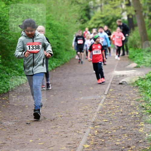 19.04.2026 - Hammer Lauf Dr. Thomas Lammeyer http://msf.ph/oto/9528490 19.04.2026 09:27:48 Laufen 1338, 1467 meine-sportfotos.de