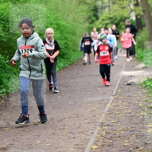 19.04.2026 - Hammer Lauf Dr. Thomas Lammeyer http://msf.ph/oto/9528494 19.04.2026 09:27:48 Laufen 1338, 1446, 1467 meine-sportfotos.de