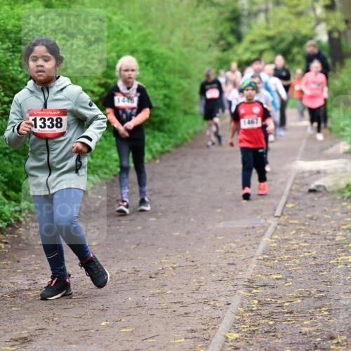 19.04.2026 - Hammer Lauf Dr. Thomas Lammeyer http://msf.ph/oto/9528496 19.04.2026 09:27:49 Laufen 1338, 1446, 1467 meine-sportfotos.de