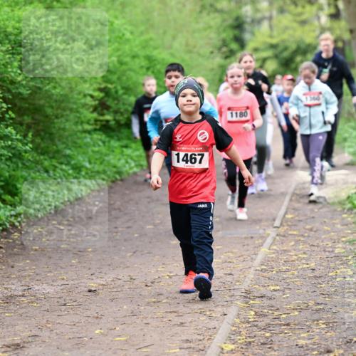 19.04.2026 - Hammer Lauf Dr. Thomas Lammeyer http://msf.ph/oto/9528497 19.04.2026 09:27:54 Laufen 1467, 1180, 31640 meine-sportfotos.de