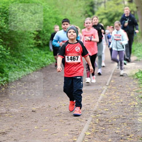19.04.2026 - Hammer Lauf Dr. Thomas Lammeyer http://msf.ph/oto/9528499 19.04.2026 09:27:54 Laufen 1467 meine-sportfotos.de