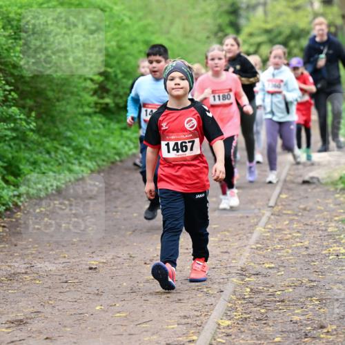 19.04.2026 - Hammer Lauf Dr. Thomas Lammeyer http://msf.ph/oto/9528502 19.04.2026 09:27:54 Laufen 1467, 1180, 1360 meine-sportfotos.de