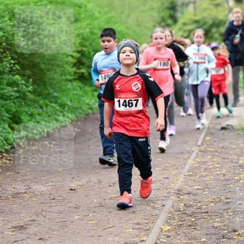 19.04.2026 - Hammer Lauf Dr. Thomas Lammeyer http://msf.ph/oto/9528505 19.04.2026 09:27:55 Laufen 149, 1467, 180, 31640 meine-sportfotos.de