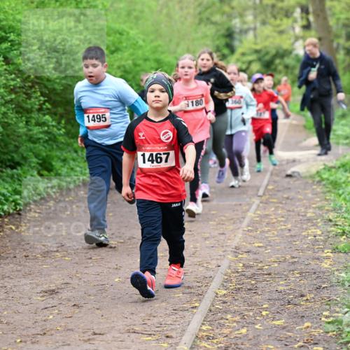 19.04.2026 - Hammer Lauf Dr. Thomas Lammeyer http://msf.ph/oto/9528507 19.04.2026 09:27:55 Laufen 1495, 1467, 180 meine-sportfotos.de