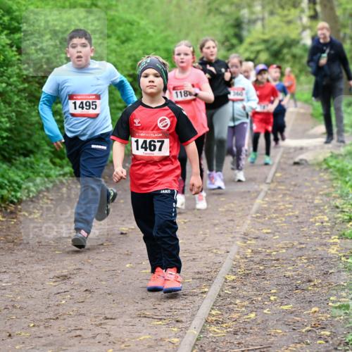 19.04.2026 - Hammer Lauf Dr. Thomas Lammeyer http://msf.ph/oto/9528510 19.04.2026 09:27:55 Laufen 1495, 1467, 118, 360 meine-sportfotos.de