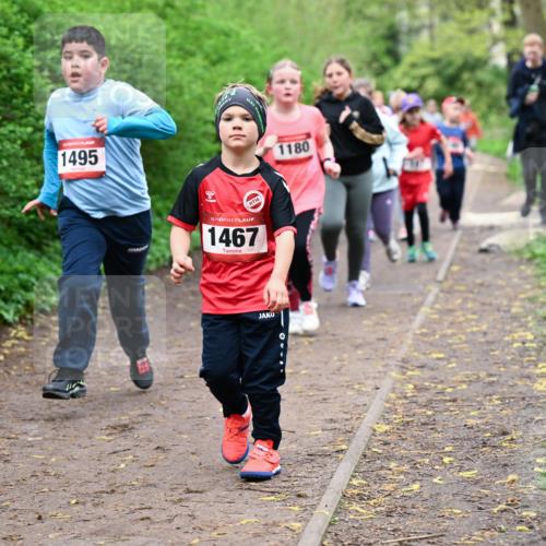 19.04.2026 - Hammer Lauf Dr. Thomas Lammeyer http://msf.ph/oto/9528513 19.04.2026 09:27:56 Laufen 1495, 1467, 1180 meine-sportfotos.de