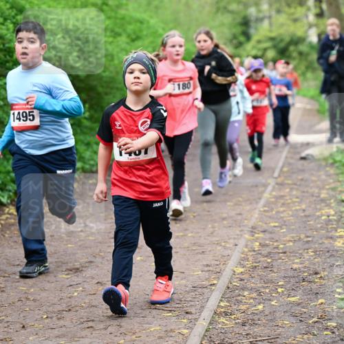 19.04.2026 - Hammer Lauf Dr. Thomas Lammeyer http://msf.ph/oto/9528514 19.04.2026 09:27:56 Laufen 1495, 1707, 180 meine-sportfotos.de