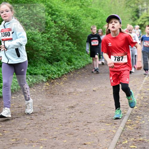 19.04.2026 - Hammer Lauf Dr. Thomas Lammeyer http://msf.ph/oto/9528539 19.04.2026 09:27:59 Laufen 1360, 1536, 787 meine-sportfotos.de