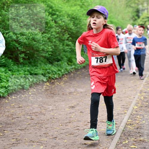 19.04.2026 - Hammer Lauf Dr. Thomas Lammeyer http://msf.ph/oto/9528542 19.04.2026 09:27:59 Laufen 1360, 787 meine-sportfotos.de