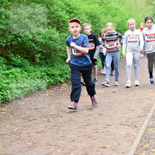 19.04.2026 - Hammer Lauf Dr. Thomas Lammeyer http://msf.ph/oto/9528561 19.04.2026 09:28:01 Laufen 1064, 1653, 536, 365, 100, 851 meine-sportfotos.de