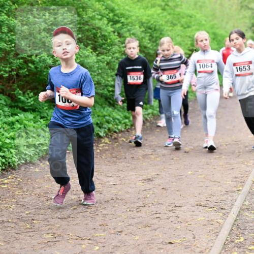 19.04.2026 - Hammer Lauf Dr. Thomas Lammeyer http://msf.ph/oto/9528567 19.04.2026 09:28:02 Laufen 100, 1064, 1536, 1653, 365 meine-sportfotos.de